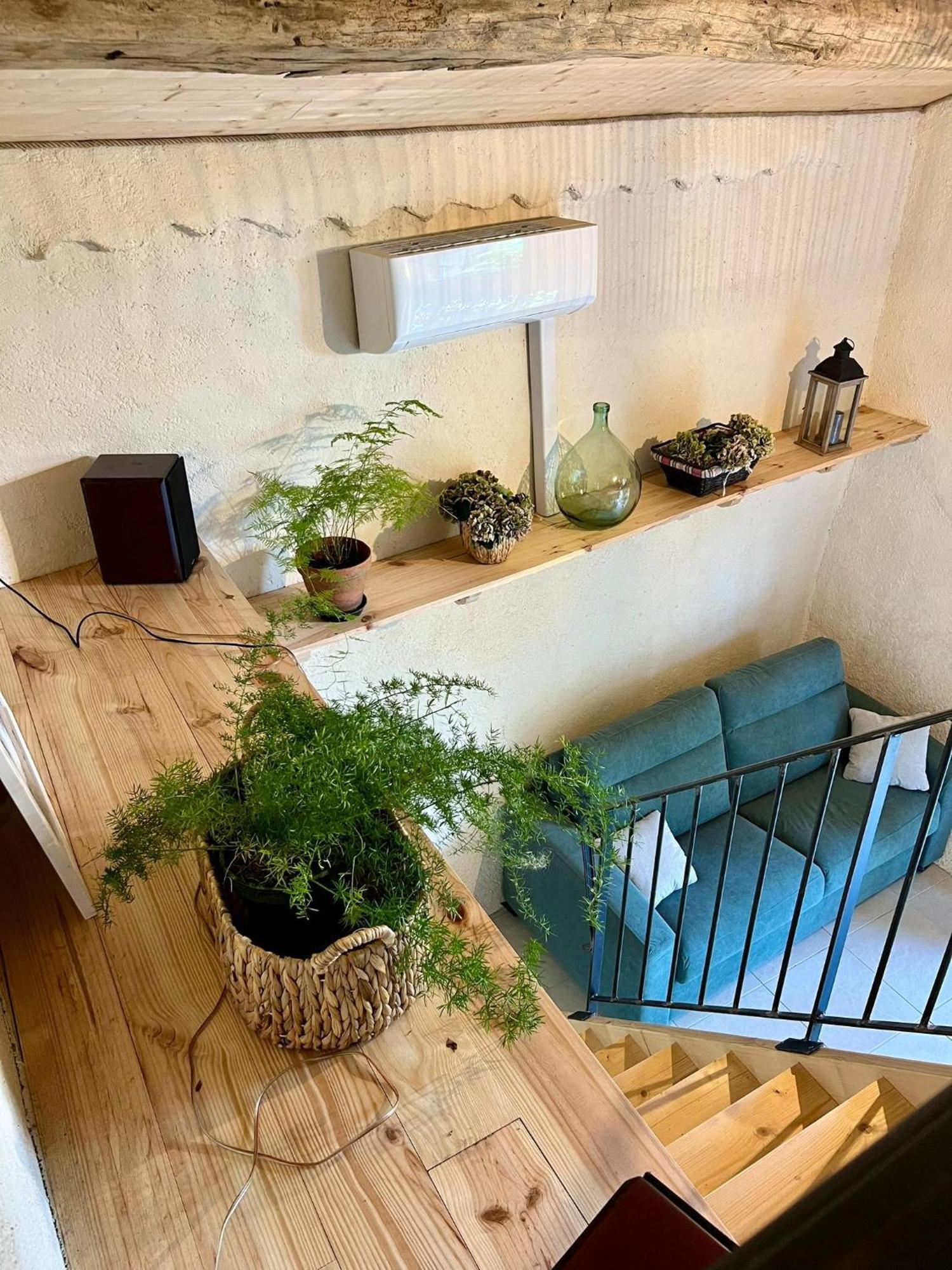 La Chambre Du Cantou Lautrec Extérieur photo